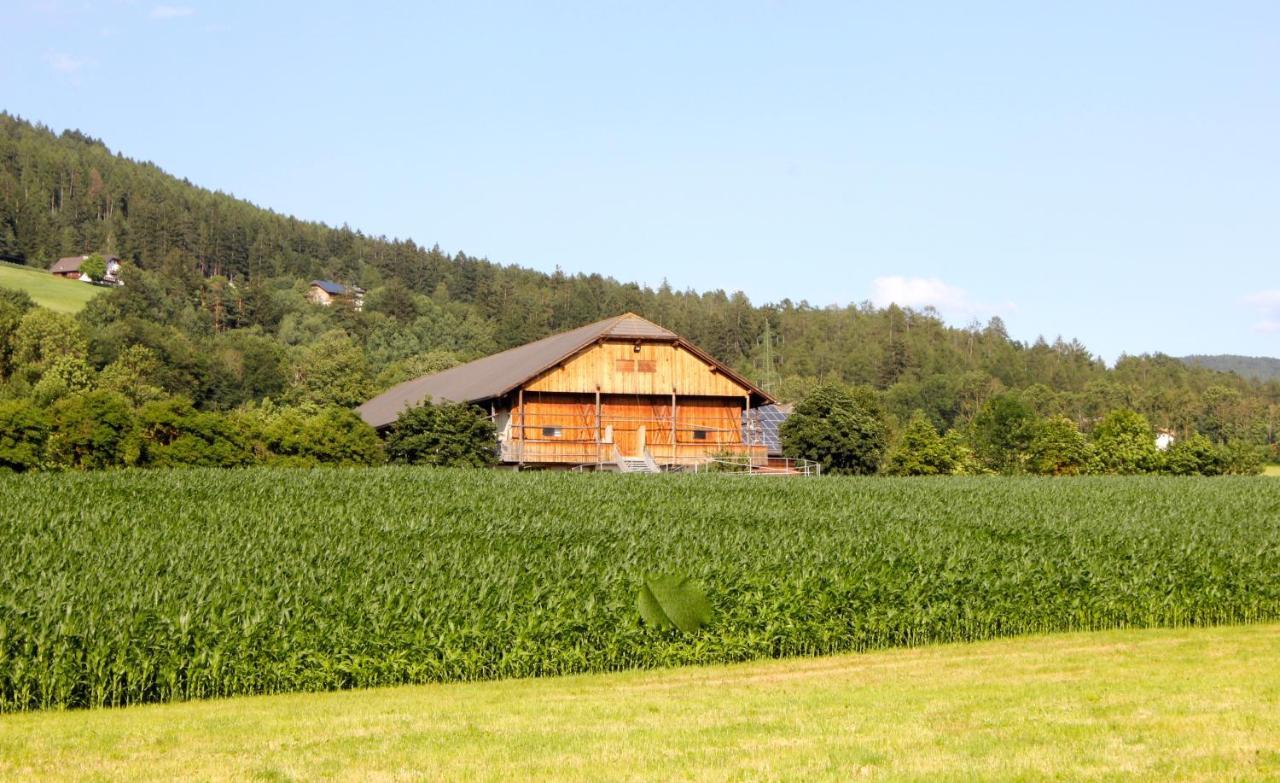 Schoenhuberhof - Panoramalage Apartment บรูนิโก ภายนอก รูปภาพ